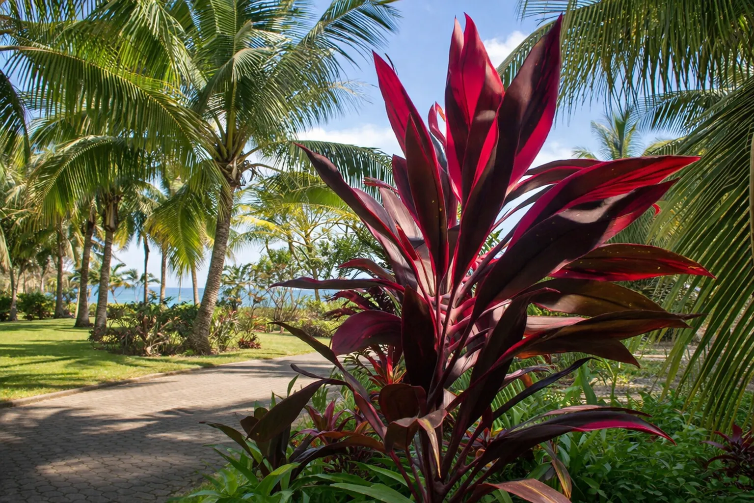 Hacienda Pinilla Luxury Condo - gated community living with resort amenities